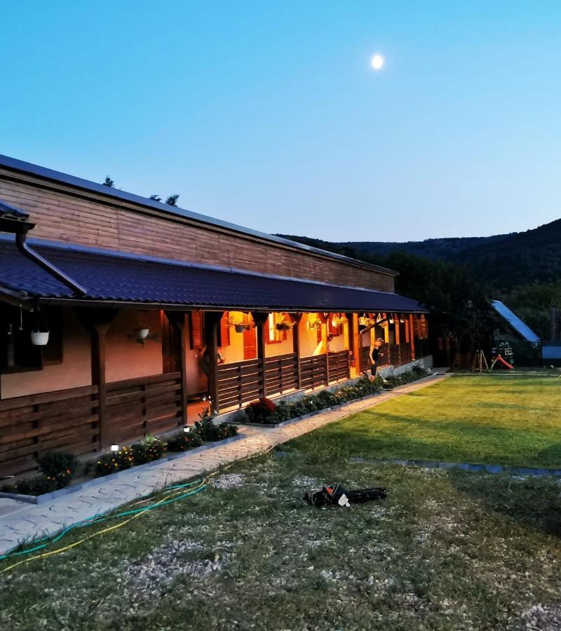 Casa Borcean 2 Guest House Sasca Montana Exterior photo