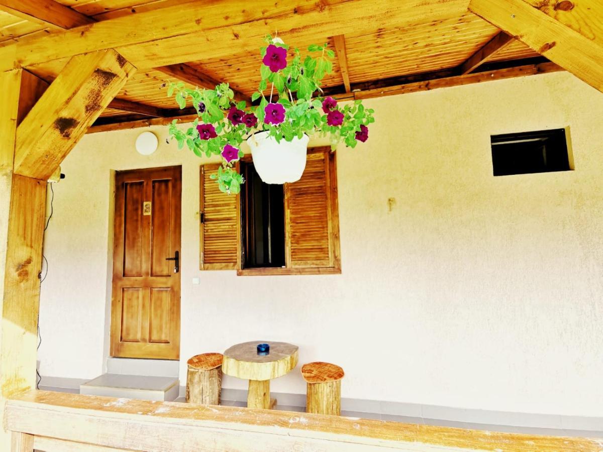 Casa Borcean 2 Guest House Sasca Montana Exterior photo