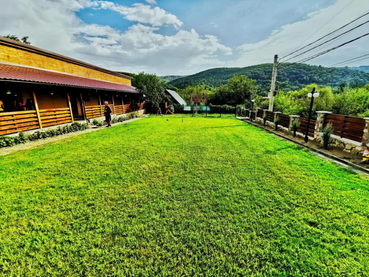Casa Borcean 2 Guest House Sasca Montana Exterior photo