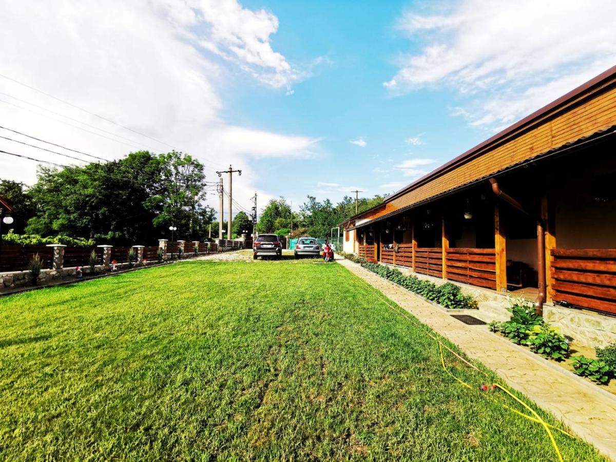 Casa Borcean 2 Guest House Sasca Montana Exterior photo